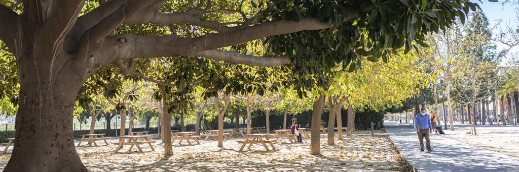 urbanismo-medio-ambiente