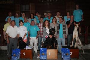concurso canino 