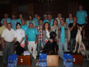 concurso canino 