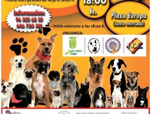 Concurso Canino
